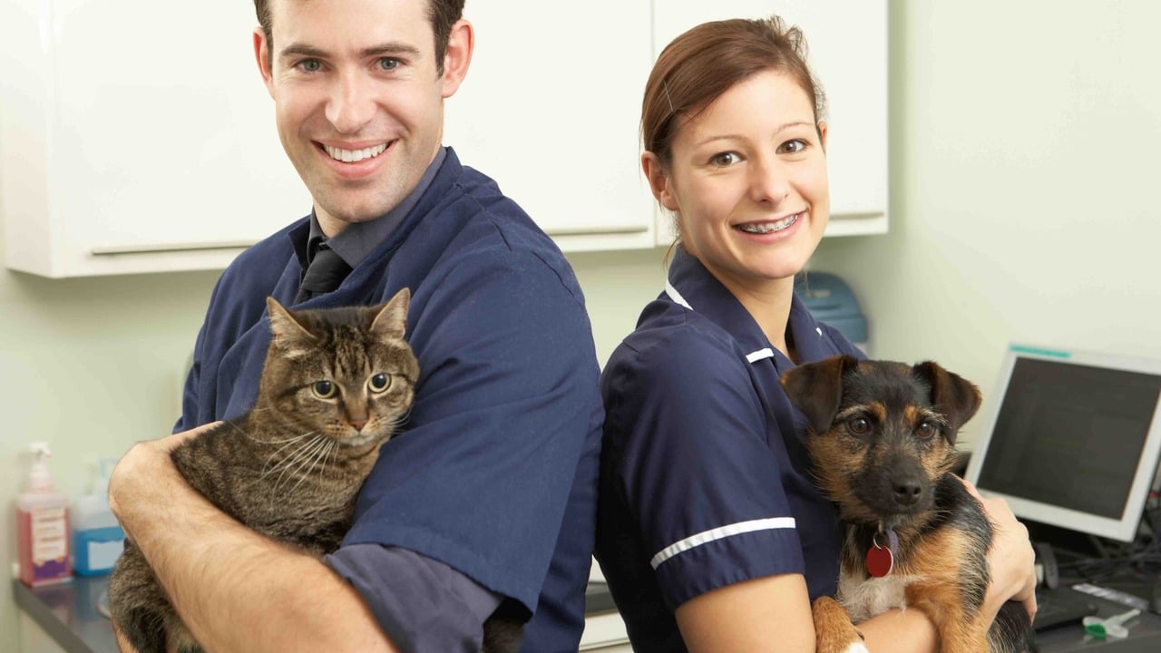 The Rise of Telehealth Services in Pet Insurance Policies