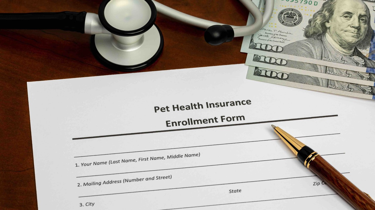 How to Choose the Best Pet Insurance Plan for Your Furry Friend