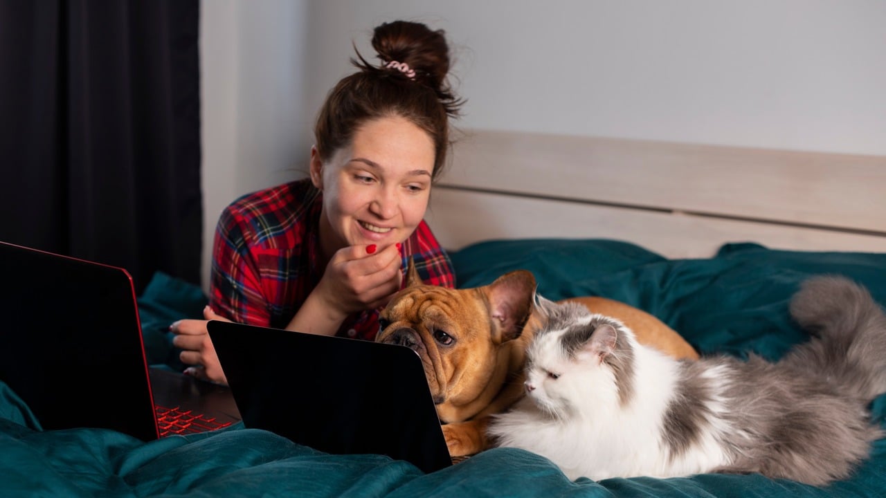 The Role of Technology in Pet Insurance: Innovations to Know