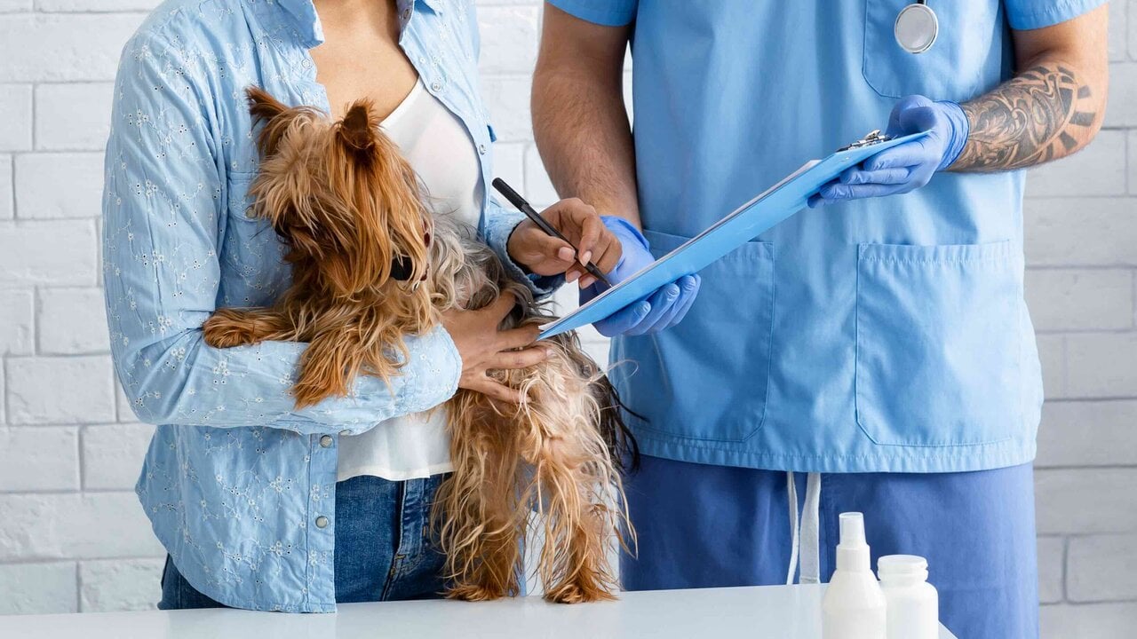 The Impact of Pet Insurance on Veterinary Medicine