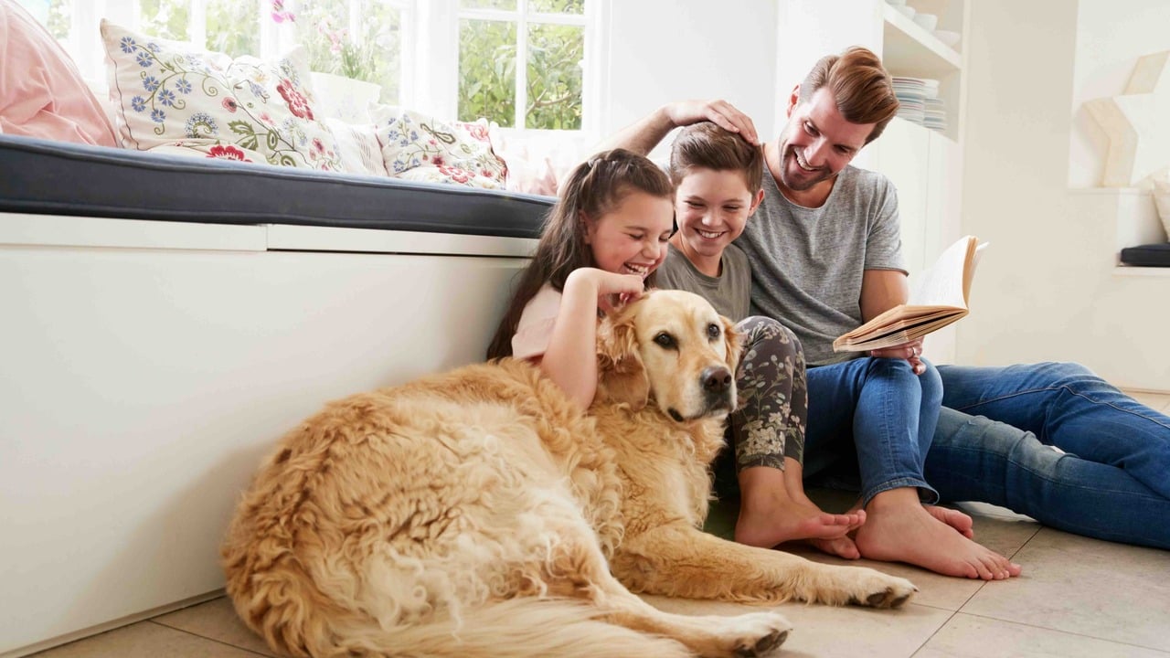 Exploring the Benefits of Genetic Testing Coverage in Pet Insurance