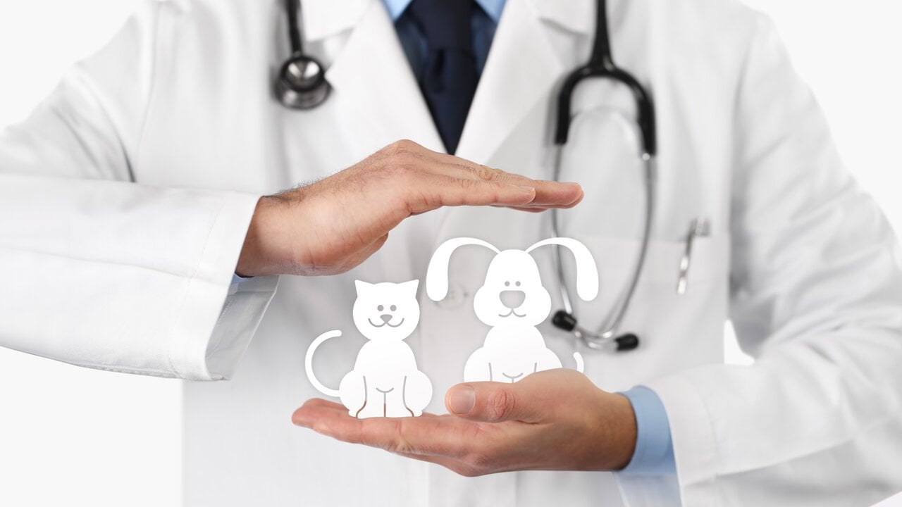 Understanding Hereditary Conditions Coverage in Pet Insurance